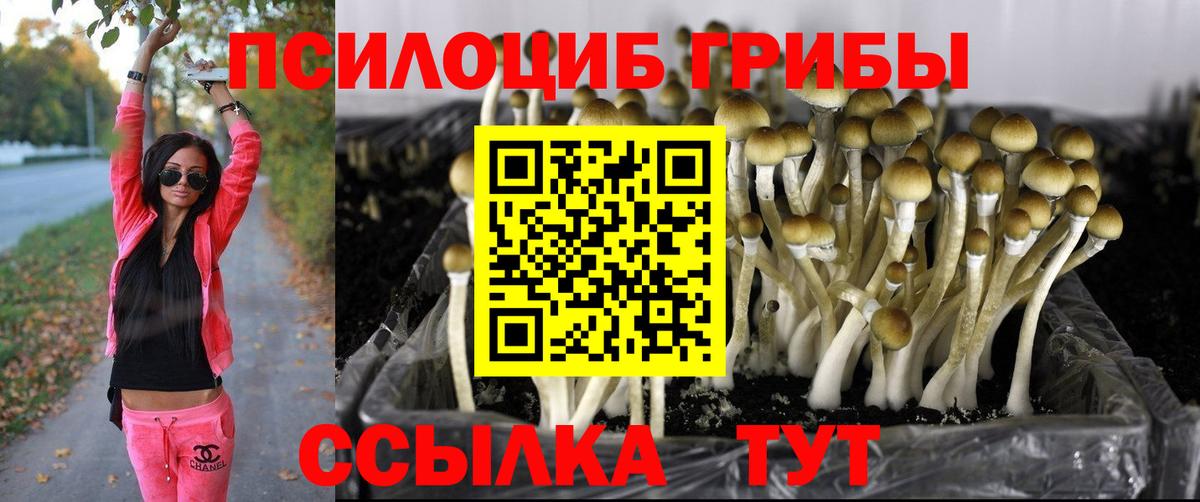 Псилоцибиновые грибы GOLDEN TEACHER Уссурийск