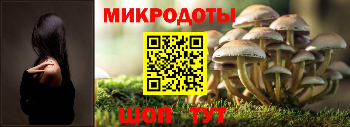Псилоцибиновые грибы Psilocybe  Вход с VPN  Уссурийск 